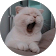 sydnie fung profile picture